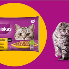 Φακελάκι Core Picture