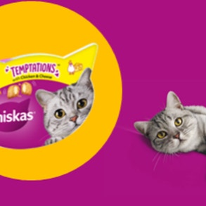 Υγιεινές Λιχουδιές Image