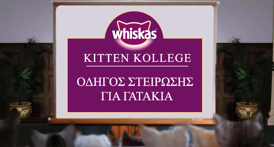 Στείρωση