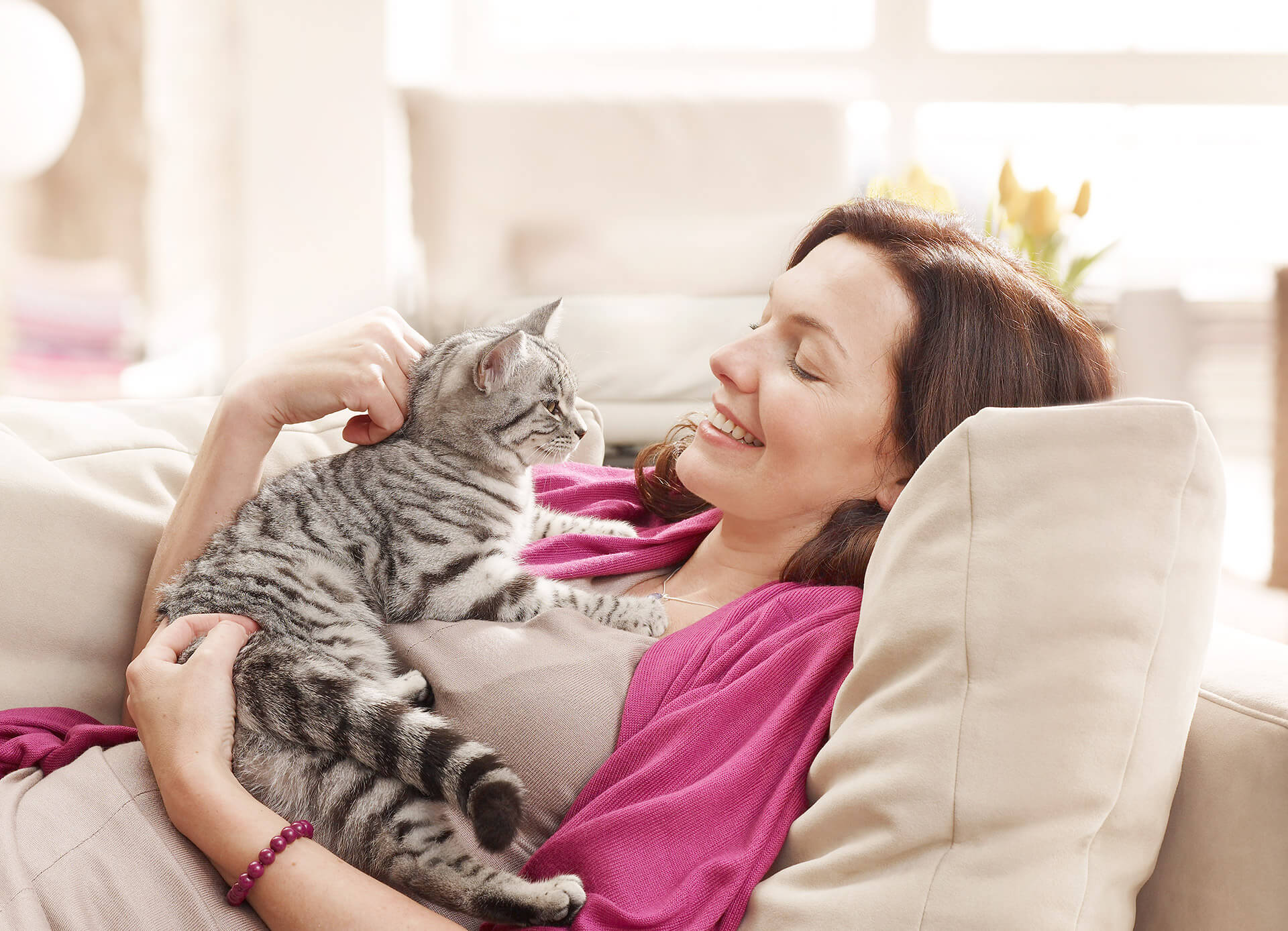 cat and person